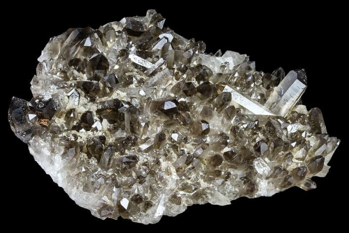 Gorgeous, Smoky Quartz Crystal Plate - Brazil #119574